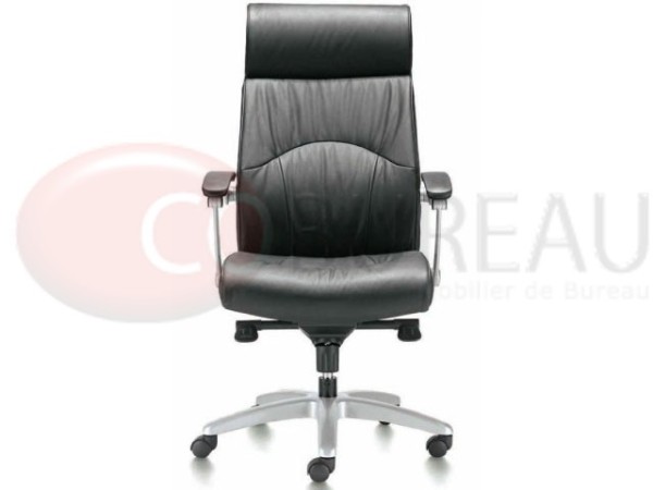 Fauteuil direction Link 