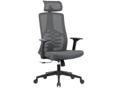 Fauteuil ergonomique Ergoflex avec appui-tête