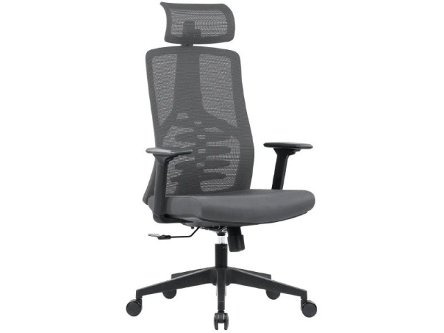 Fauteuil ergonomique Ergoflex avec appui-tête