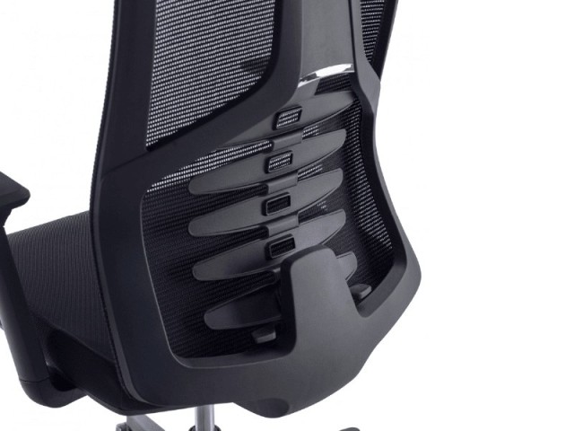 Fauteuil de bureau ergonomique Ergoflex avec appui-tête