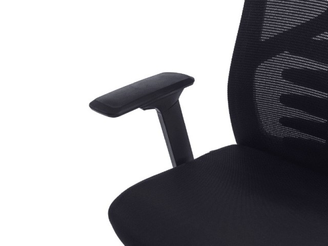 Fauteuil ergonomique Ergoflex avec accoudoirs