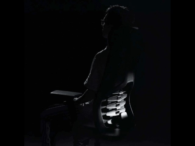 siege ergonomique Ergoflex