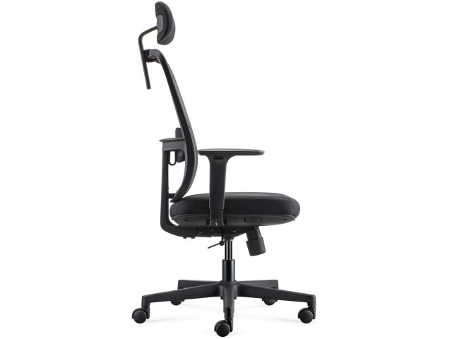 Fauteuil ergonomique Pop Soutien lombaire