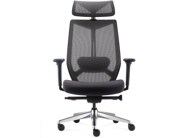 Fauteuil Arco ergonomique