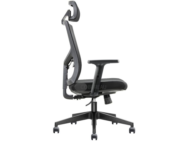 Fauteuil Net Avec appui-tête