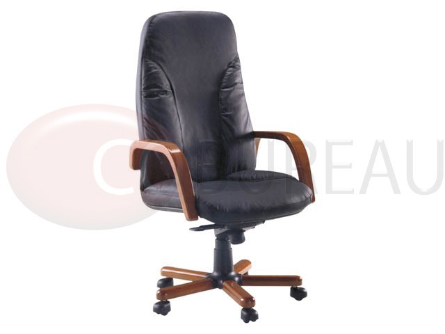 Fauteuil direction Ares 