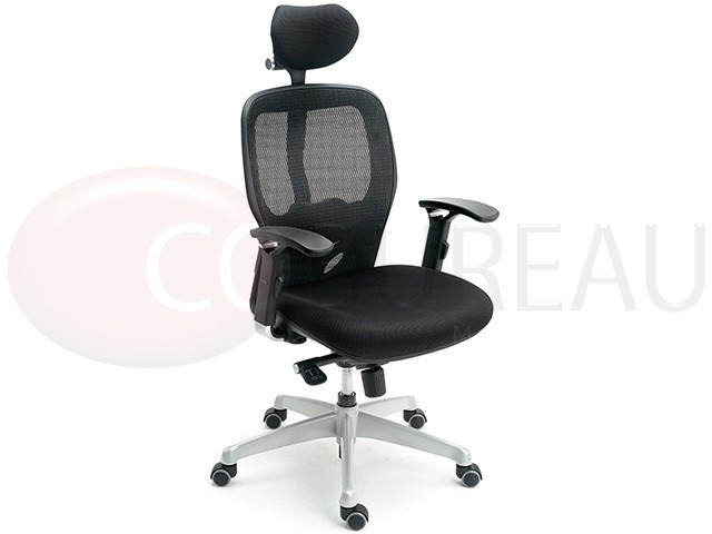Fauteuil ergonomique Neon 