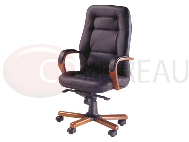 Fauteuil direction Zenia